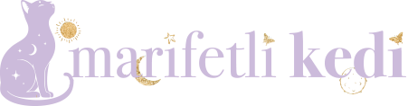 Marifetli Kedi